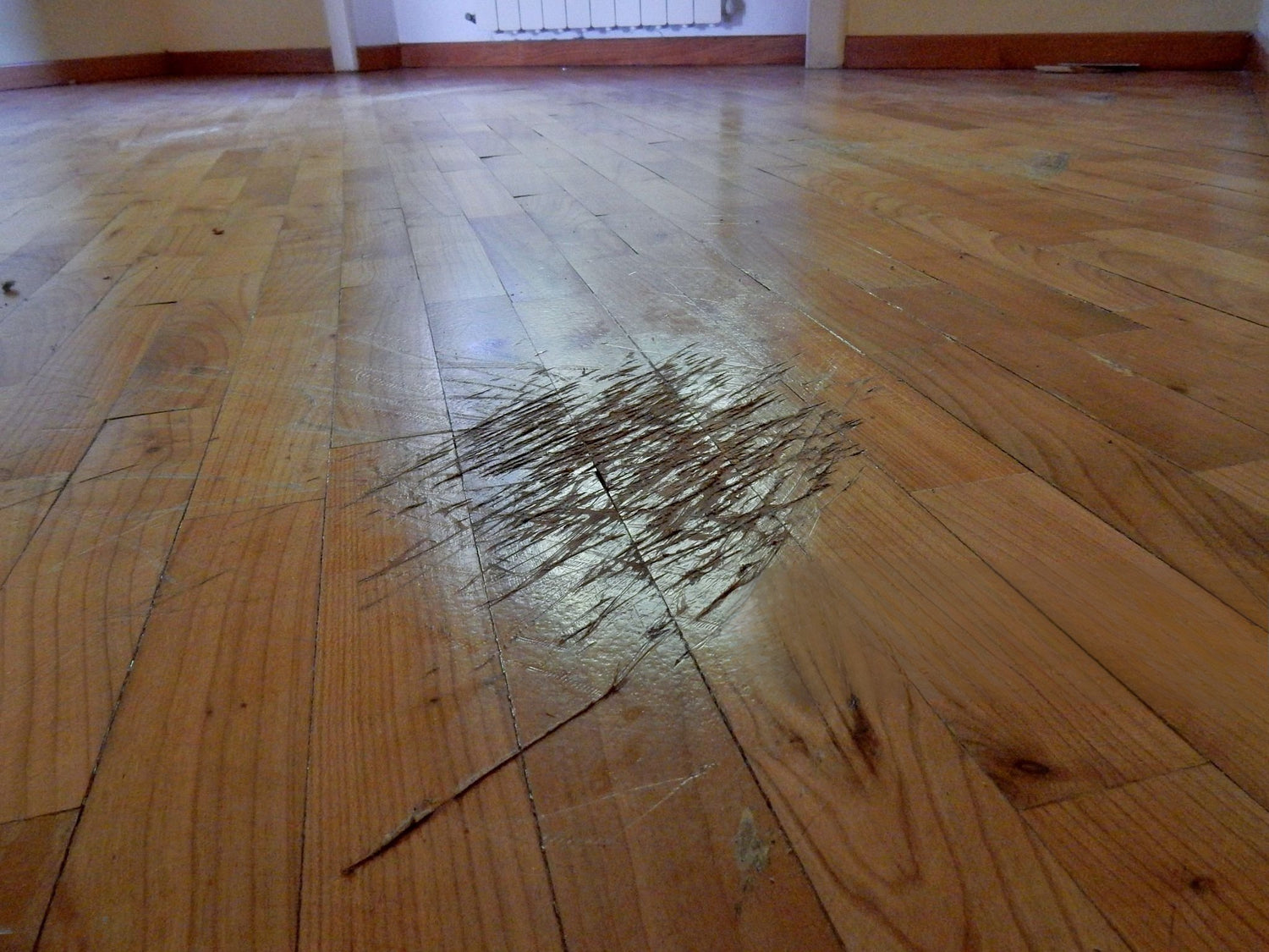 scratched off wood floors image